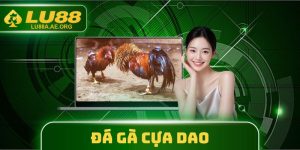 Đá Gà Cựa Dao